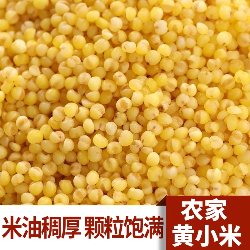 山西黄小米农家自种粘米粥包汤圆糯粽子黄米五谷杂粮熬粥养胃