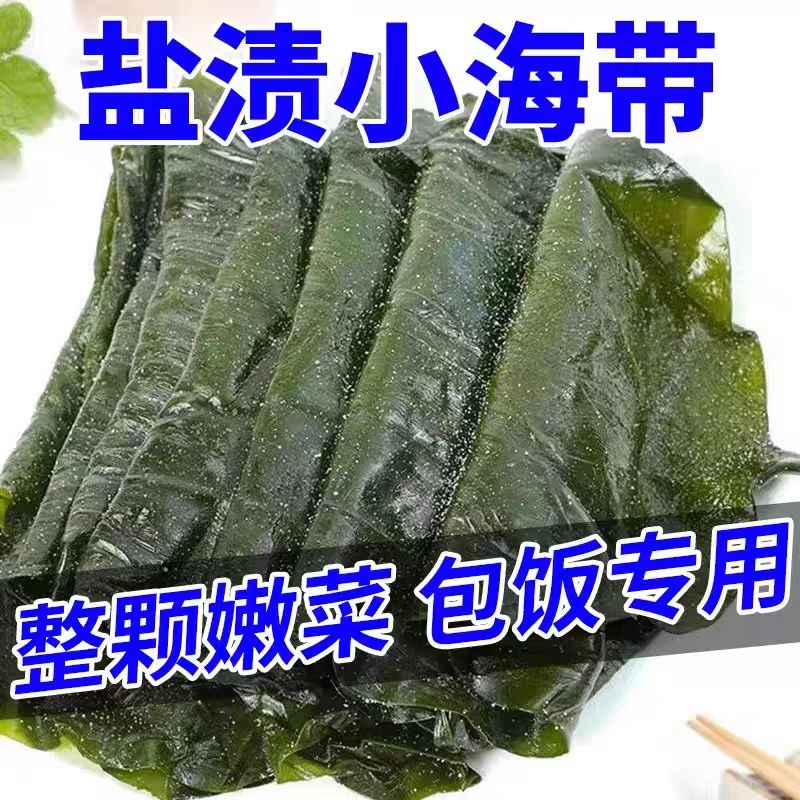 盐渍整颗海带包饭专用新鲜加厚一整箱商用批发辽宁大连海带饭包