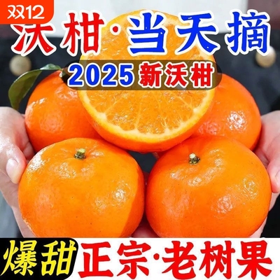 广西沃柑新鲜水果当季整箱时令现摘斤沙糖蜜橘砂糖柑橘桔子橘5斤