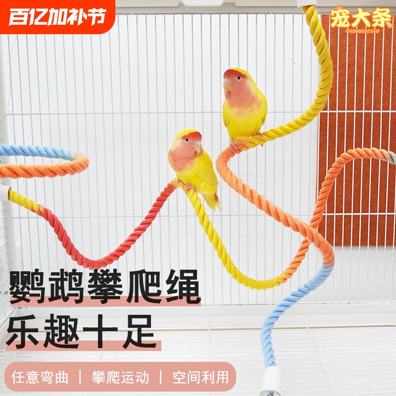 鹦鹉吸盘站杆攀爬绳旋转款玻璃攀爬解闷玩具虎皮玄凤牡丹专用站杆