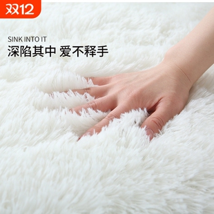 地毯卧室毛毯垫子地垫床边毯客厅茶几毯少女房间毛绒入户白色沙发