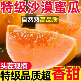 当季甘肃民勤蜜瓜4-5斤