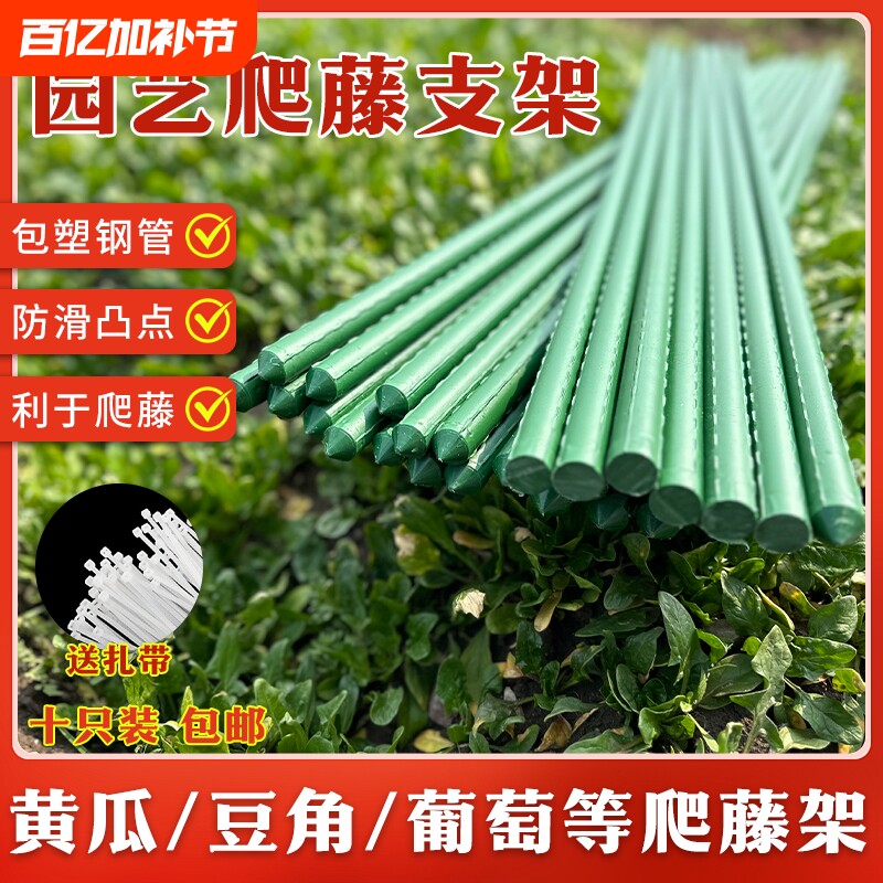 爬藤架花架包塑钢管月季豆角西红柿黄瓜园艺固定杆葡萄植物支撑架