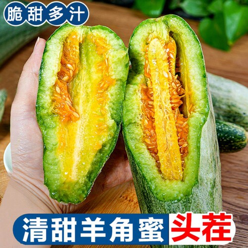 山东羊角蜜甜瓜新鲜水果当季