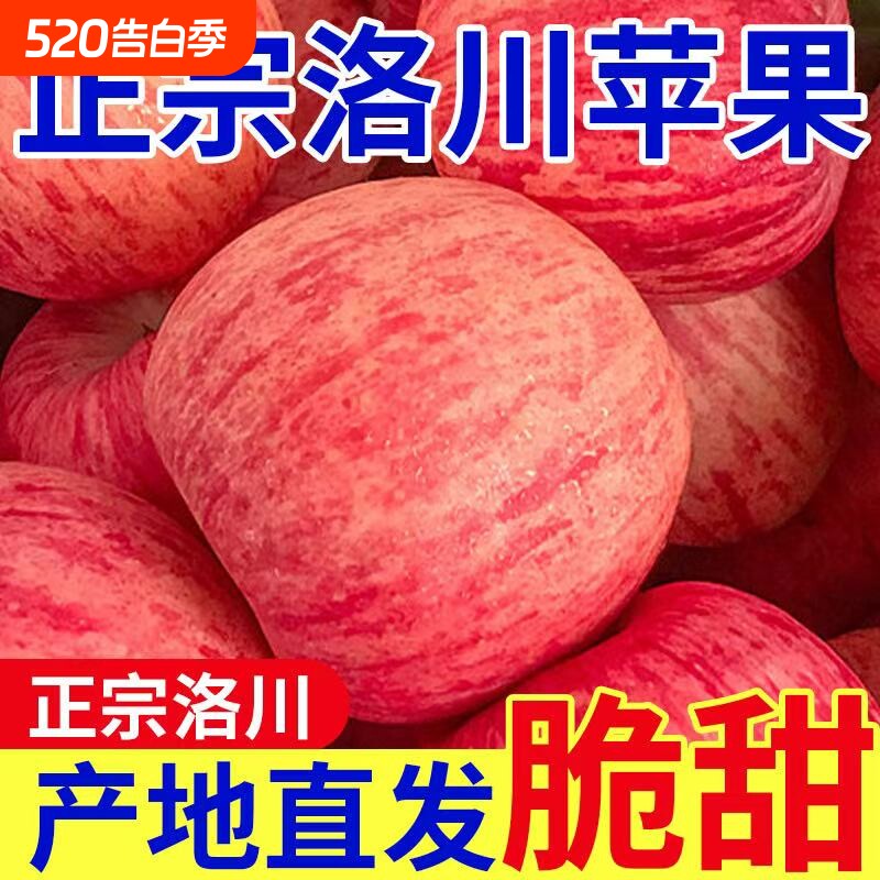 正宗陕西洛川红富士苹果新鲜水果当季冰糖心脆甜多汁产地直发