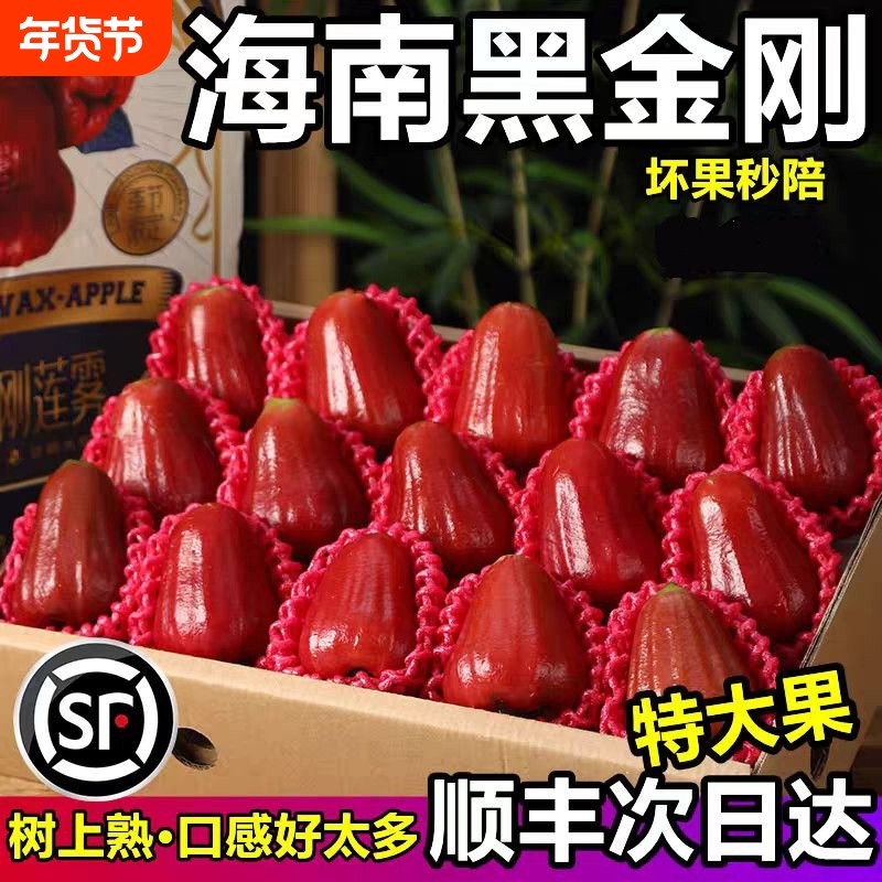 【顺丰京东】海南三亚黑金刚莲雾精品大果脆甜多汁新鲜包邮连雾,水产肉类/新鲜蔬果/熟食,莲雾,淘宝优惠券,粉丝福利购,淘宝优惠卷