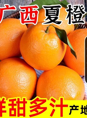 正宗广西夏橙冰糖甜橙整箱新鲜