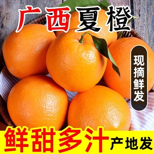 正宗广西夏橙冰糖甜橙整箱新鲜当季水果手剥脐橙孕妇水果高山甜橙