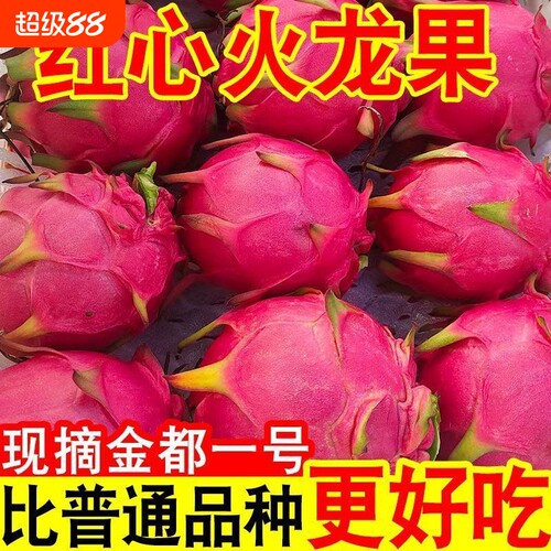 广西红心火龙果新鲜现摘果园直供正宗金都一号时令当季红肉水果
