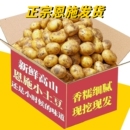 土豆新鲜恩施小迷你现挖黄心土豆洋芋农家自种蔬菜马铃薯