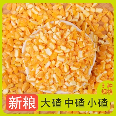东北笨大碴子玉米碴子粥农家自产新鲜五谷杂粮香浓粥底煮粥