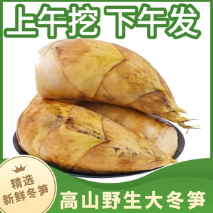 高山野生黄泥冬笋去根精选农家自种正宗5斤江西现挖竹笋毛竹笋