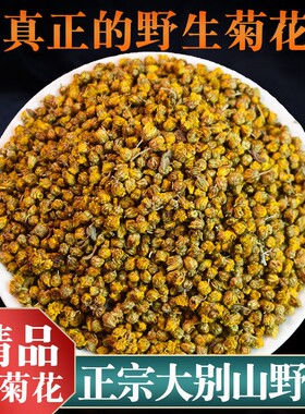 大别山野菊花干散装小野菊花中药