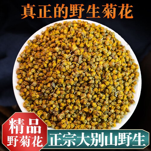 大别山野菊花干散装小野菊花中药
