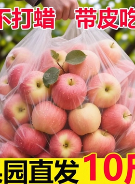 陕西正宗红富士苹果应当季新鲜水果整箱10脆甜冰糖心丑平果包邮斤