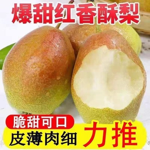嘟嘟娃大果香梨5斤|318人收藏