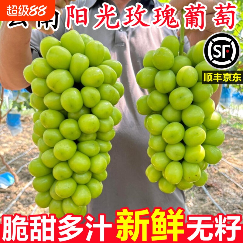 阳光玫瑰葡萄云南晴王新鲜孕妇水果香印青提无籽当季整箱精品无核