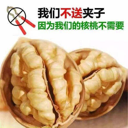新疆185新货正宗即开原味孕妇老人生核桃24年纸皮核桃健康核桃仁