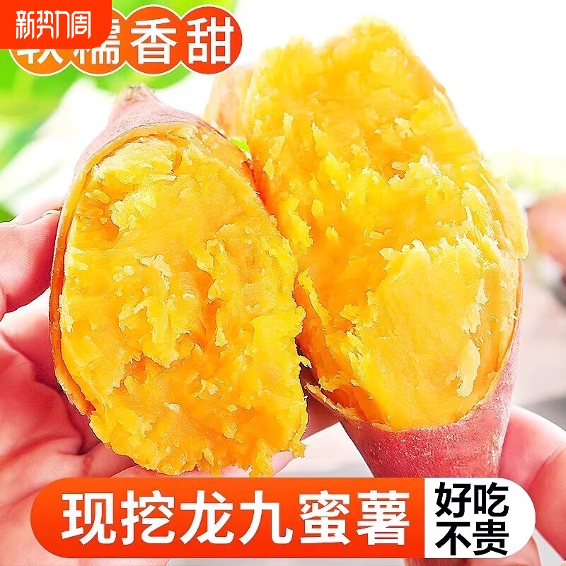 正宗蜜薯龙九沙地红心现挖黄心番薯新鲜糖心地瓜板栗红薯山芋香甜
