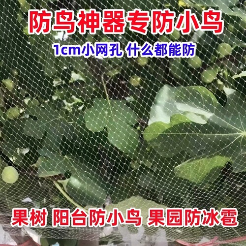 防小鸟防鸟丝网|超5000次加购