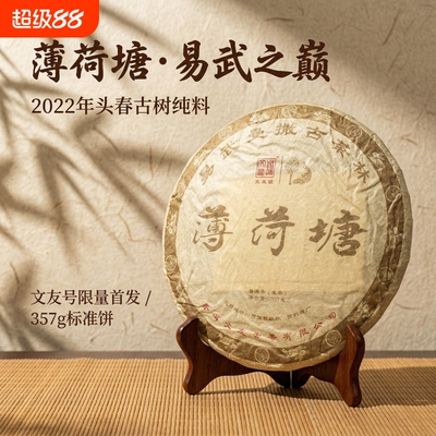 易武曼撒古茶薄荷塘普洱生茶古树