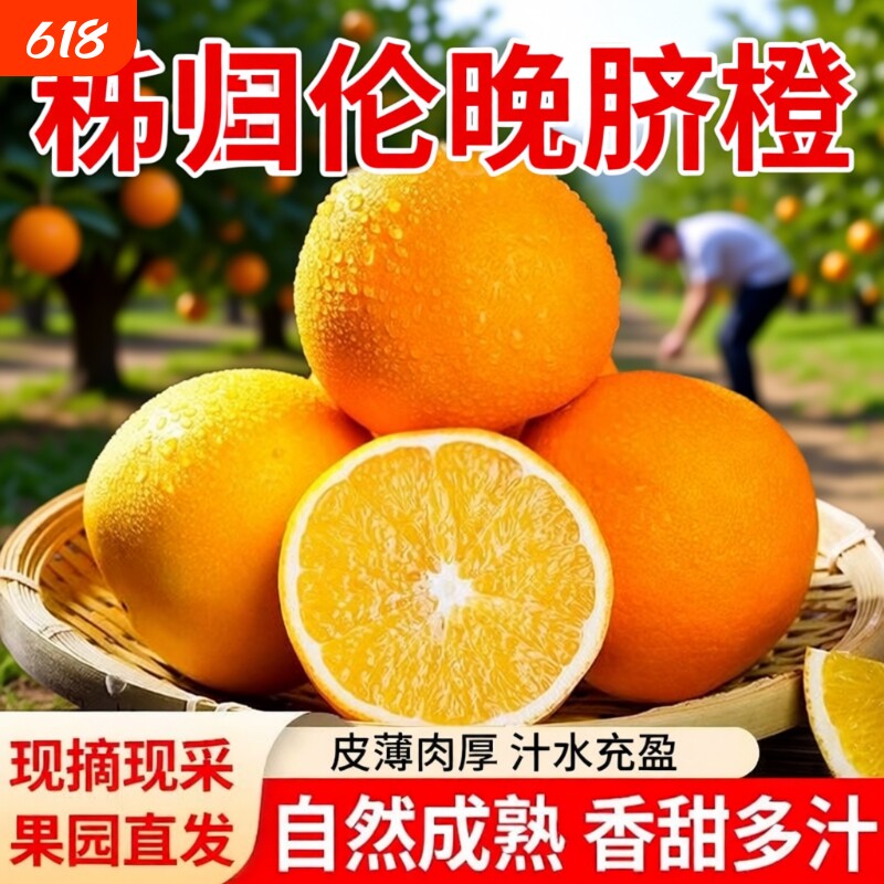 橙子伦晚脐橙湖北秭归新鲜10斤大果甜春橙手剥橙整箱当季水果现摘