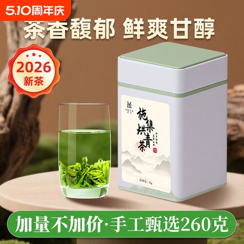 施集茶叶绿茶新茶明前高山云雾春茶特级自己喝栗香茶叶罐装