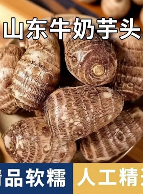 山东牛奶芋艿小芋头3/5斤芋仔新鲜蔬菜香芋毛芋头软糯香甜当季