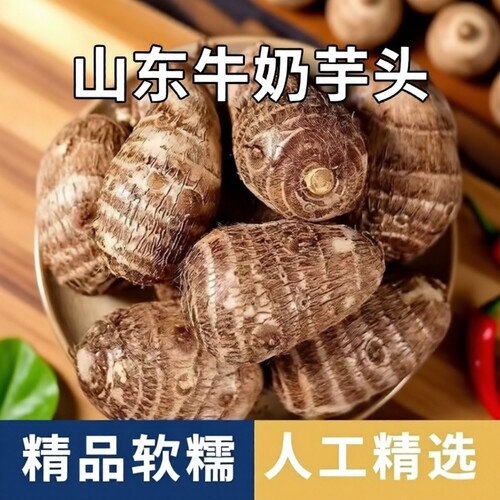 山东牛奶芋艿小芋头3/5斤芋仔新鲜蔬菜香芋毛芋头软糯香甜当季