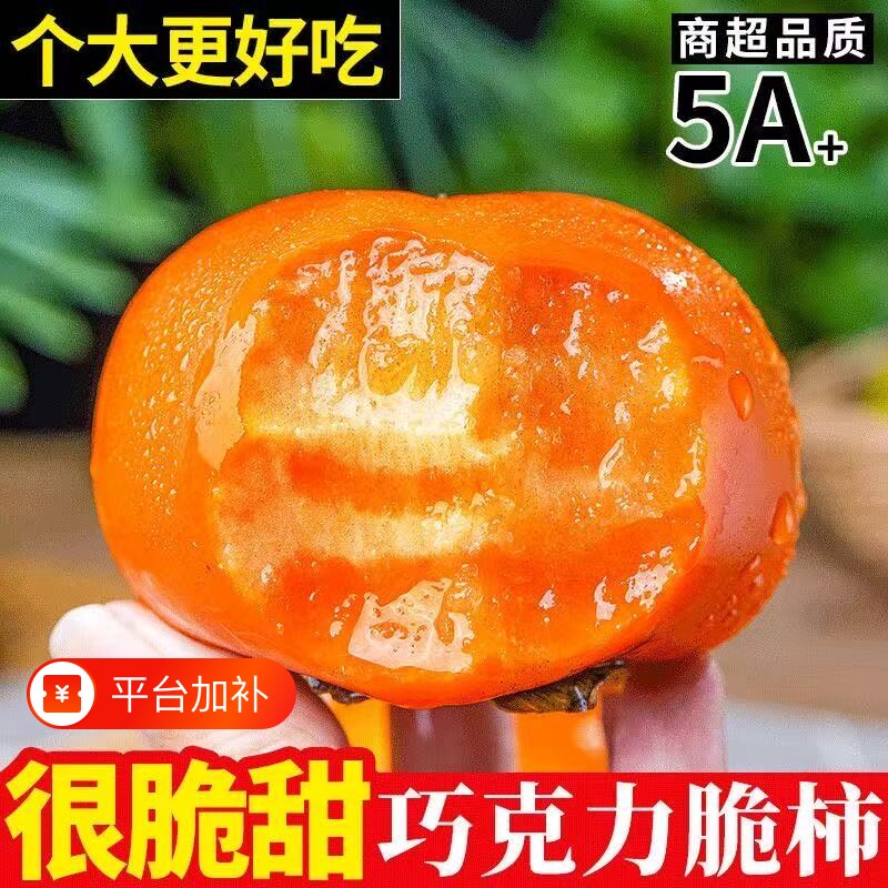 脆柿子新鲜水果当季甜柿子巧克力脆柿冰糖心硬柿子应季脆甜保存