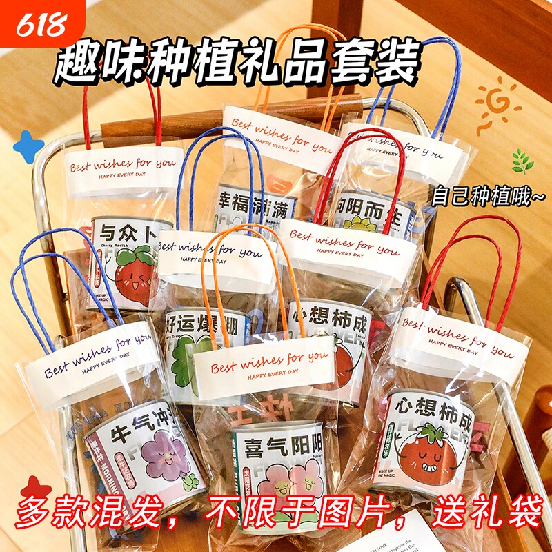学生小礼品奖励实用DIY植物种植盲盒伴手儿童活动奖品幼儿园礼物