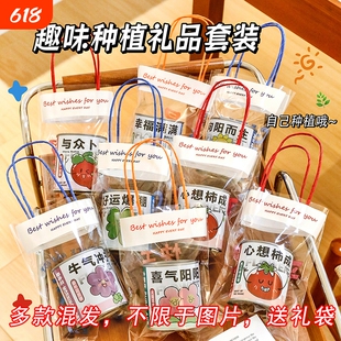 学生小礼品奖励实用DIY植物种植盲盒伴手儿童活动奖品幼儿园礼物