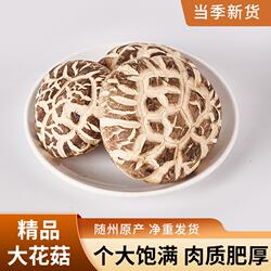 随州香菇神农架大花菇干货椴木香菇菌菇蘑菇冬菇香茹批发农家特产