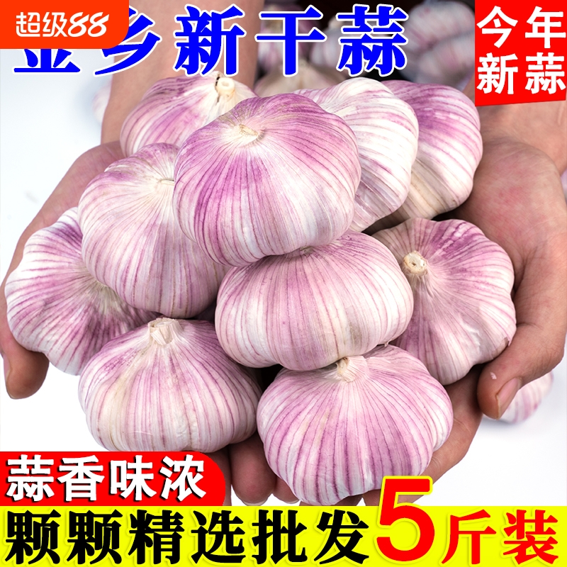 金乡农家新干蒜5斤精选特大果