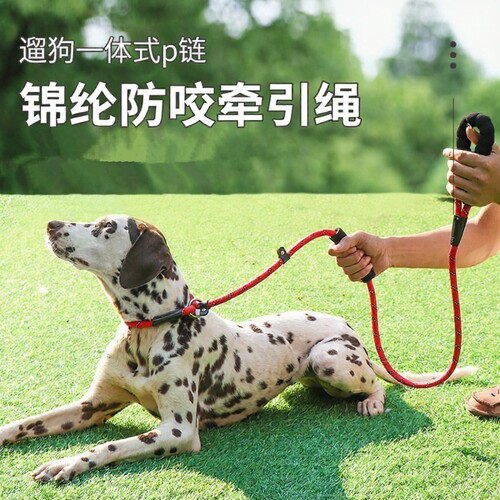 狗狗牵引绳小中大型犬防爆冲P链