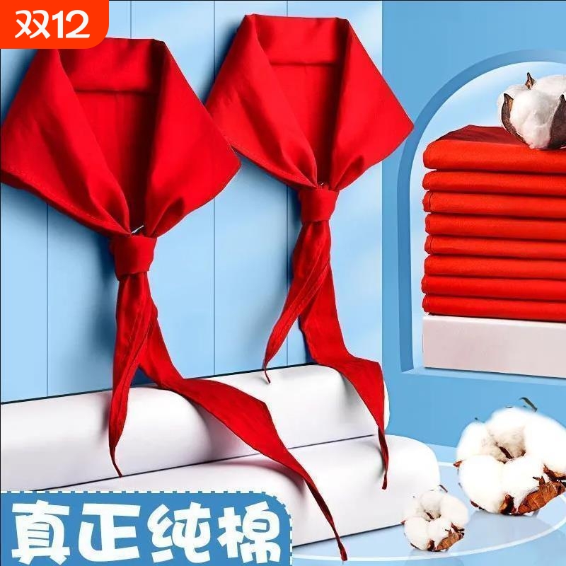 小学生红领巾学校统一老师推荐