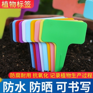 园艺标签牌T型多肉植物花卉插地标牌塑料防水PVC标签园艺苗木标识
