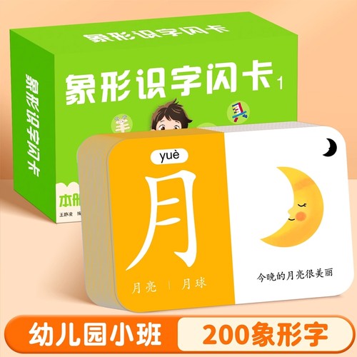 儿童识字卡片幼儿园象形看图汉字3000字宝宝认字早教启蒙全套玩具