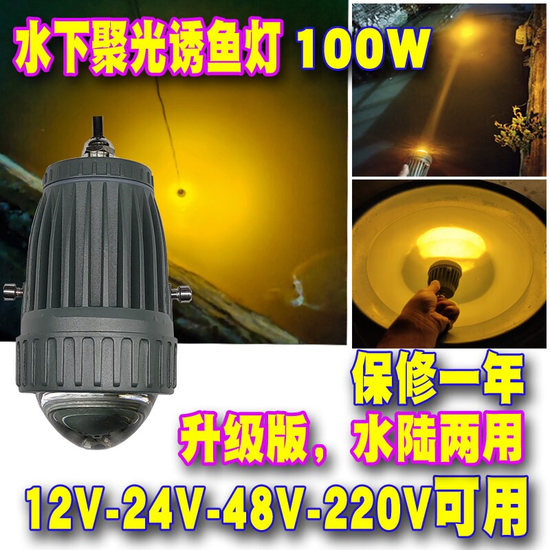 12V水下诱鱼灯船用集鱼夜钓led灯筏钓翘嘴黄光引鱼聚鱼桥钓竿稍灯图片