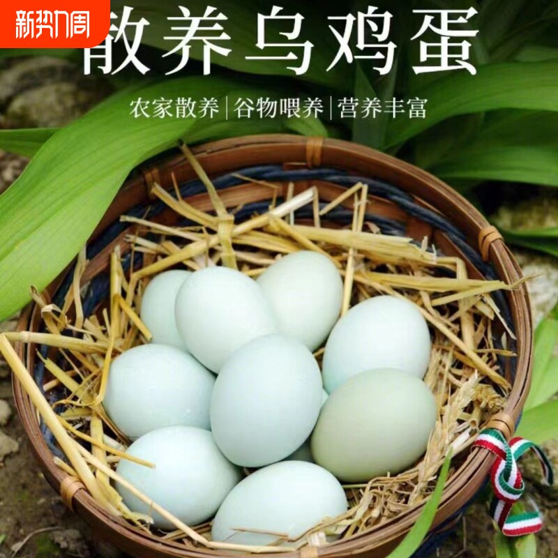 新鲜农村散养绿壳乌鸡蛋孕妇宝宝柴鸡蛋土鸡蛋笨鸡蛋五黑鸡普通