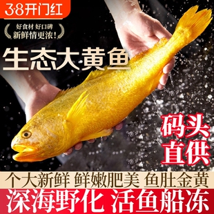 黄花鱼新鲜冷冻深海大黄鱼生鲜海鲜水产小黄鱼鲞鲜活海鱼鱼类配送