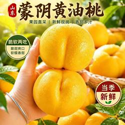 蒙阴黄油桃新鲜黄肉桃子蜜桃水果黄心黄金油桃正宗黄金桃当季脆甜