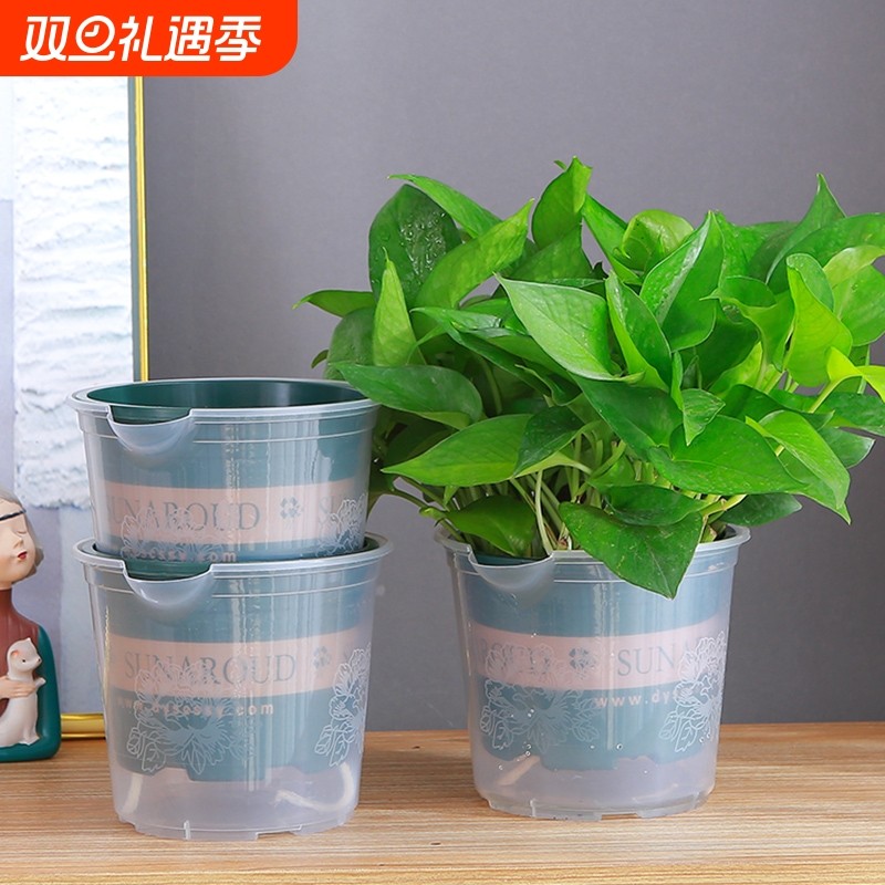自动吸水透明花盆|超1.1万次加购