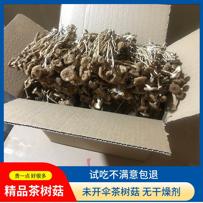 源头厂家茶树菇干货新货冰菇不开伞500g古田特产散装茶薪菇包邮