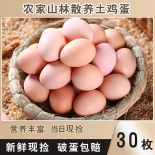 新店冲量土鸡蛋正宗农家散养新鲜现捡营养笨鸡 枚 柴鸡蛋45g±5g