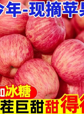 【新鲜】正宗红富士苹果水果当季整箱红富士冰糖心一级脆甜10包邮