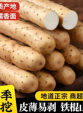 正宗铁棍山药小白嘴山药新鲜现挖麻山药宝宝辅食老少皆宜软糯当季