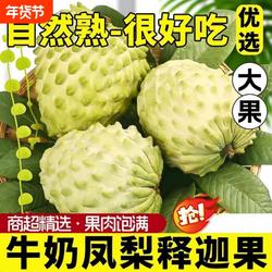 攀枝花牛奶凤梨释迦果番荔枝佛头鲜水果当季现摘香甜软糯大果优选