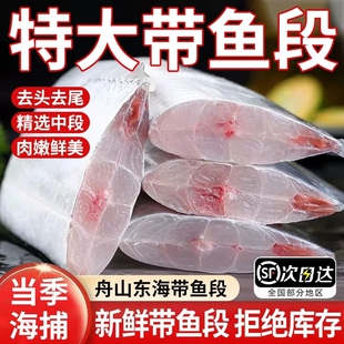 新鲜舟山带鱼段中段冷冻特大段特级东海小眼海鱼整箱5斤水产冰鲜