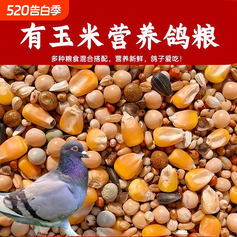 鸽子饲料粮食无玉米幼鸽粮信鸽元宝鸽鸟食赛鸽营养10斤包邮混合